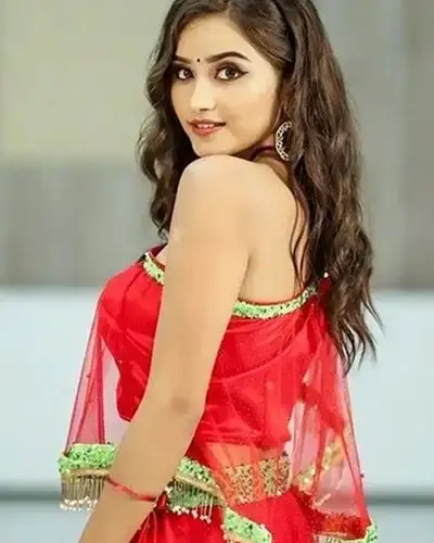 Call Girls Service Bagh Lingampally